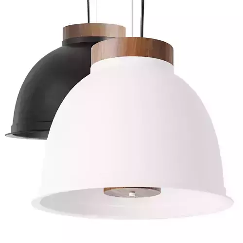 Pendant lamp D390