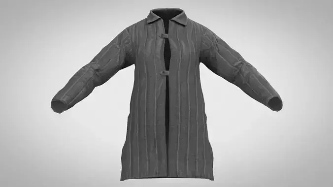 jacket coat with pinstripe pattern