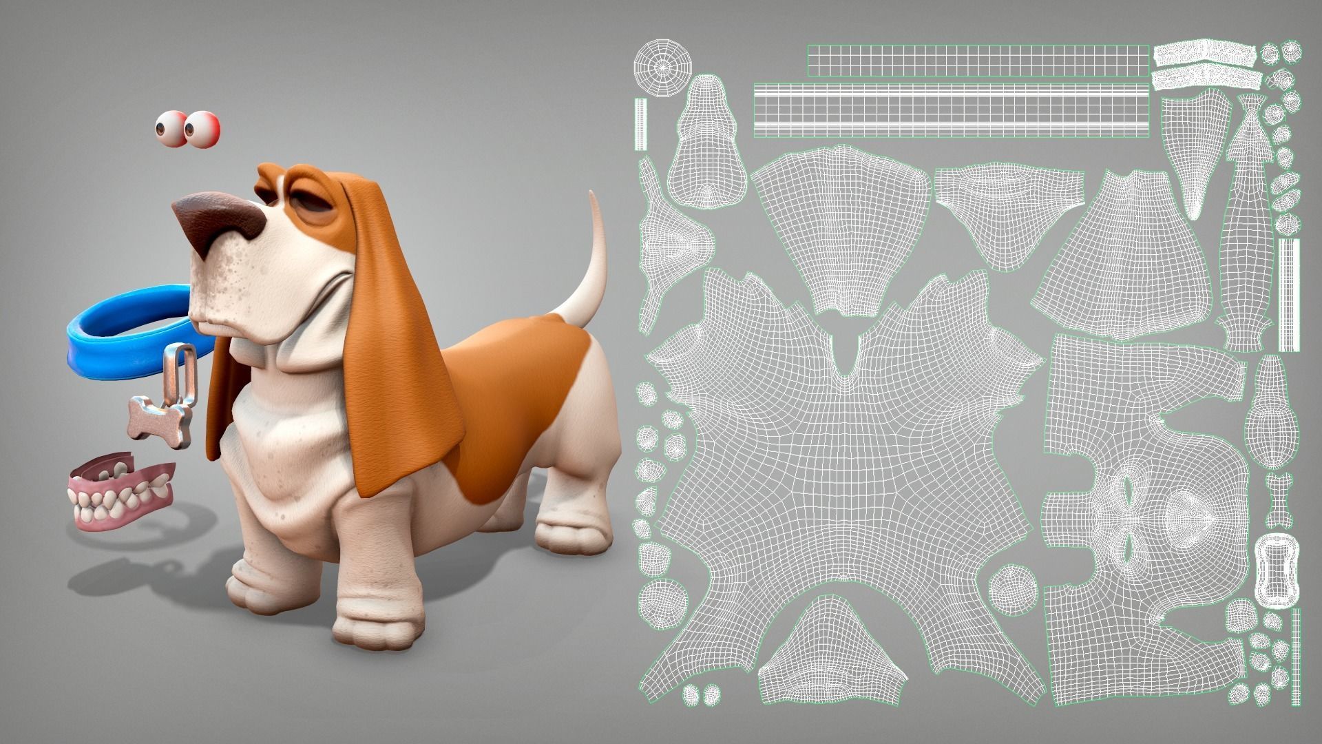 Cartoon character dog Basset hound base mesh Low-poly 3D model_9