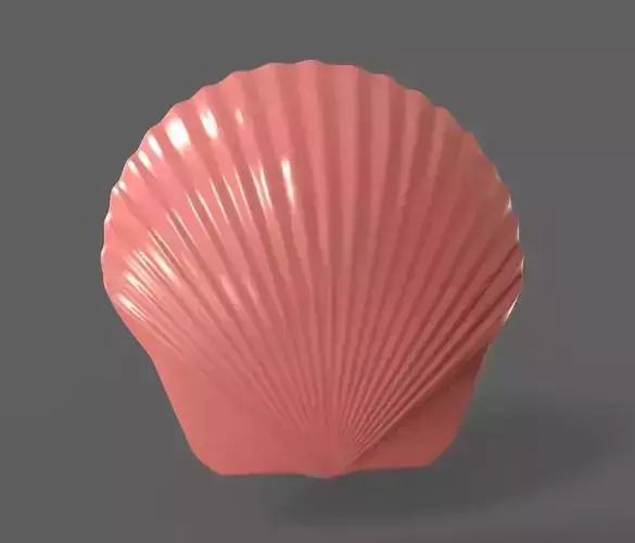 The Seashell shell