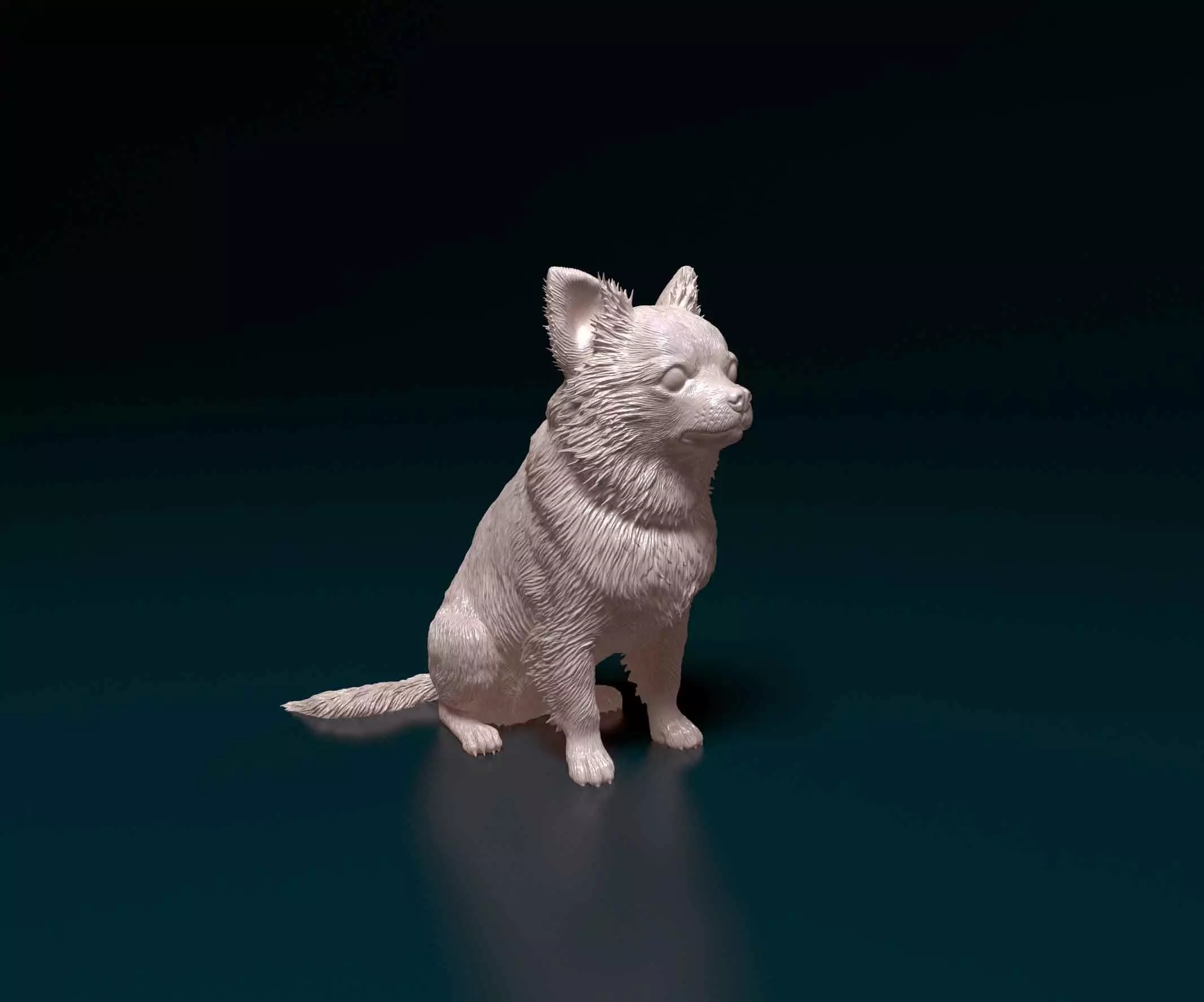 Chihuahua long haired 3D print model