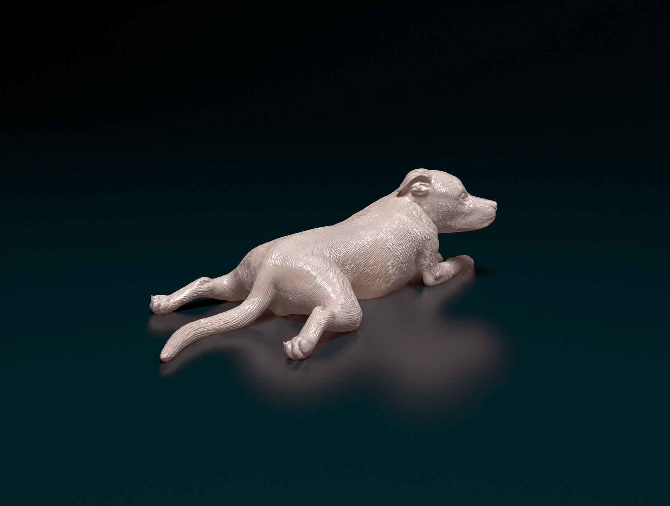 Pit bull 3D model 3D printable | CGTrader