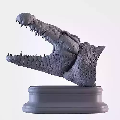 Crocodile Head