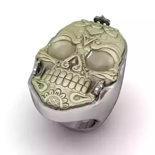 Skull bone ring 3D print model