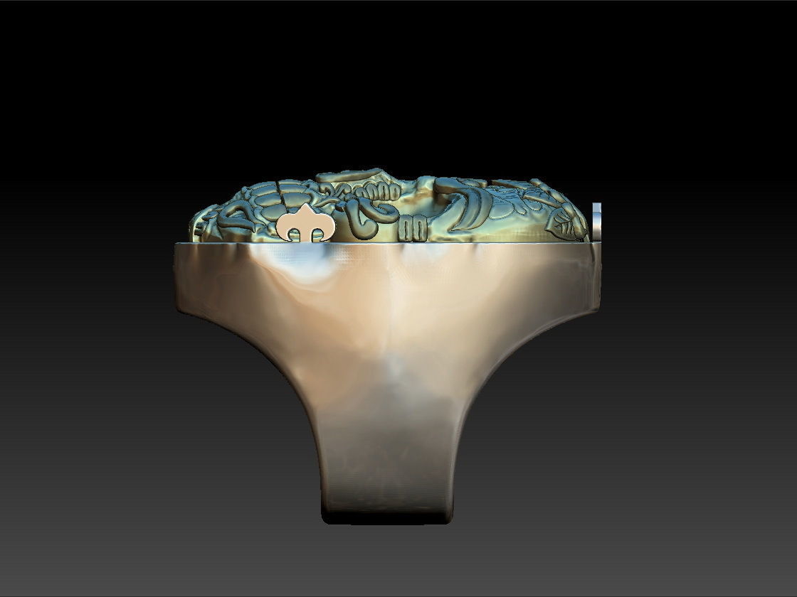 Skull bone ring 3D print model_10