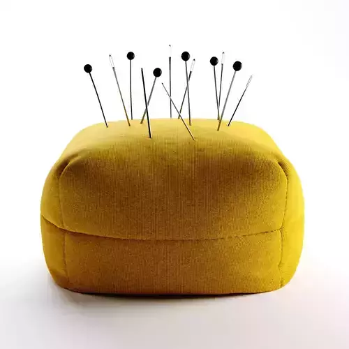 Pincushion pin cushion