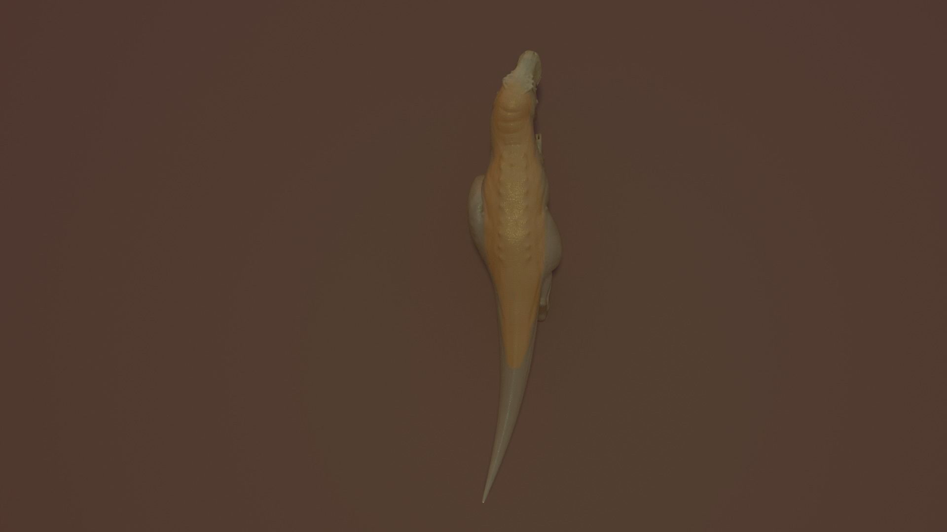 Tyrannosaurus rex T-REX-3D  3D model_6