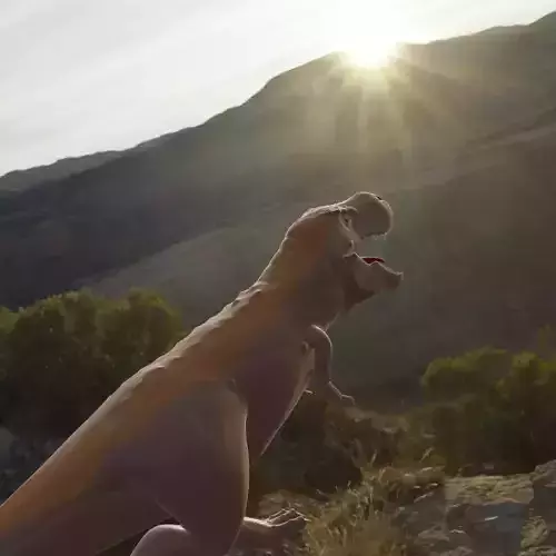 Tyrannosaurus rex T-REX-3D  3D model Tyrannosaurus rex T-REX-3D  3D model