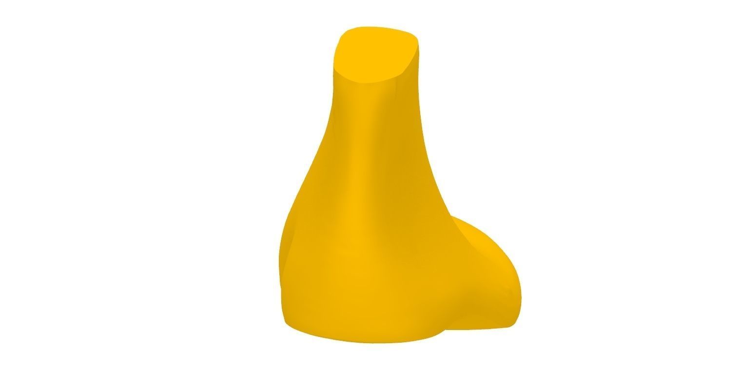 Female Shoe Last 3D print model_6