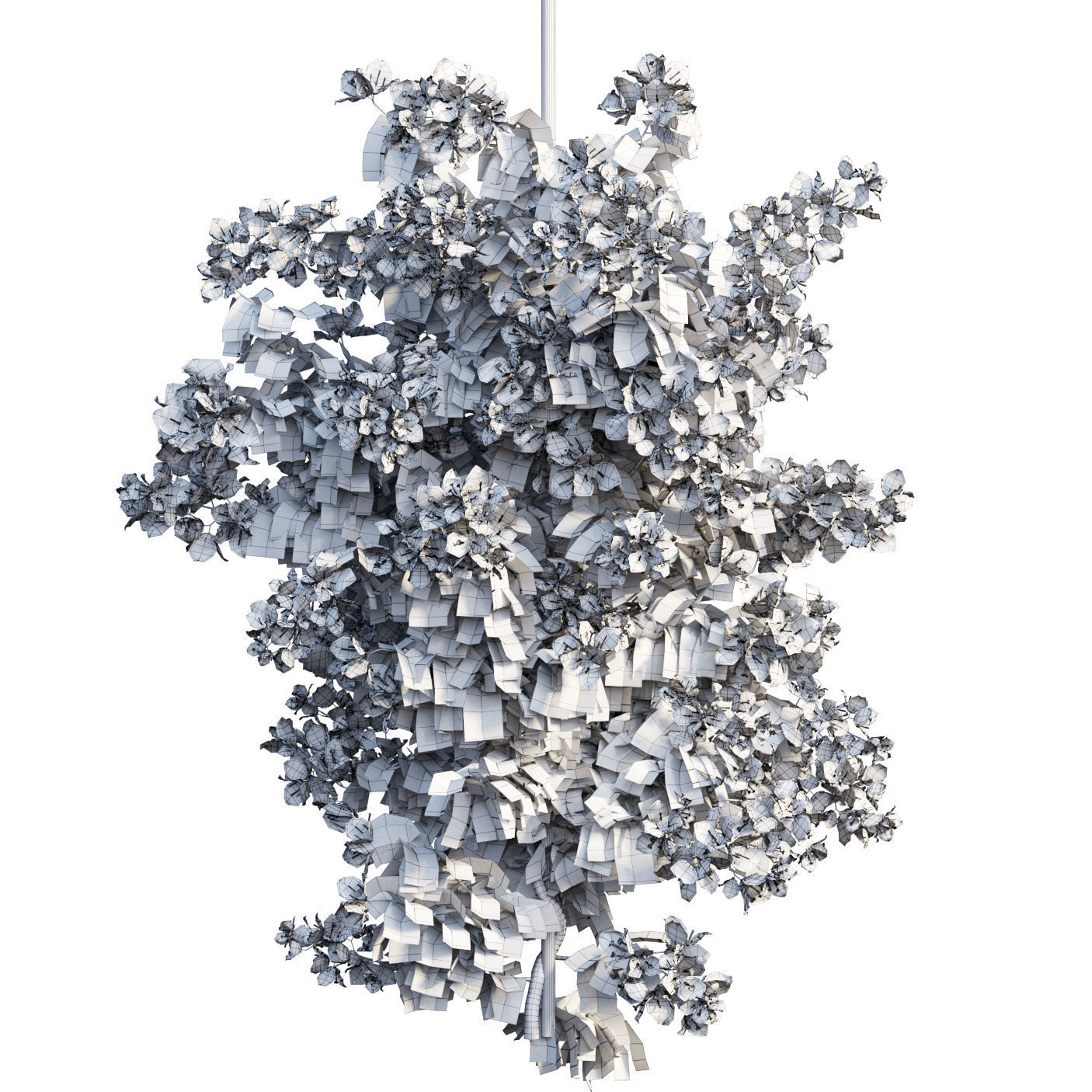 Bougainvillea  plant set 40 3D model_2