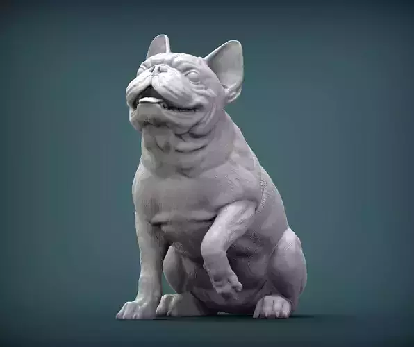 French Bulldog