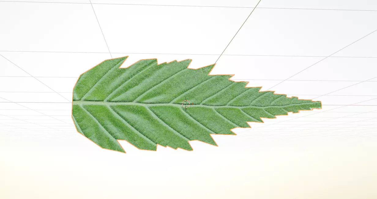 Leaf sample Free 3D model