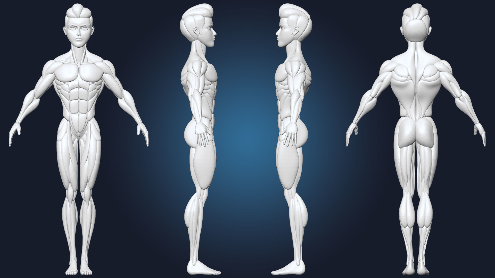 Stylized Male Basemesh Anatomy Blockout Vol 01 Free 3D model_2