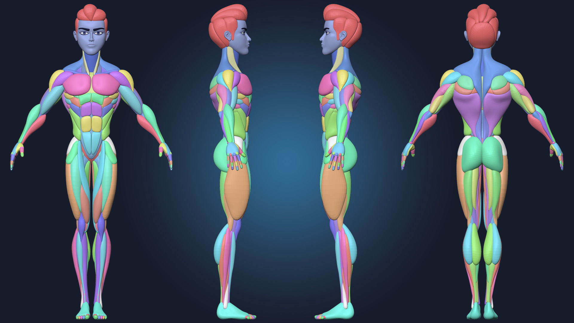 Stylized Male Basemesh Anatomy Blockout Vol 01 Free 3D model_1