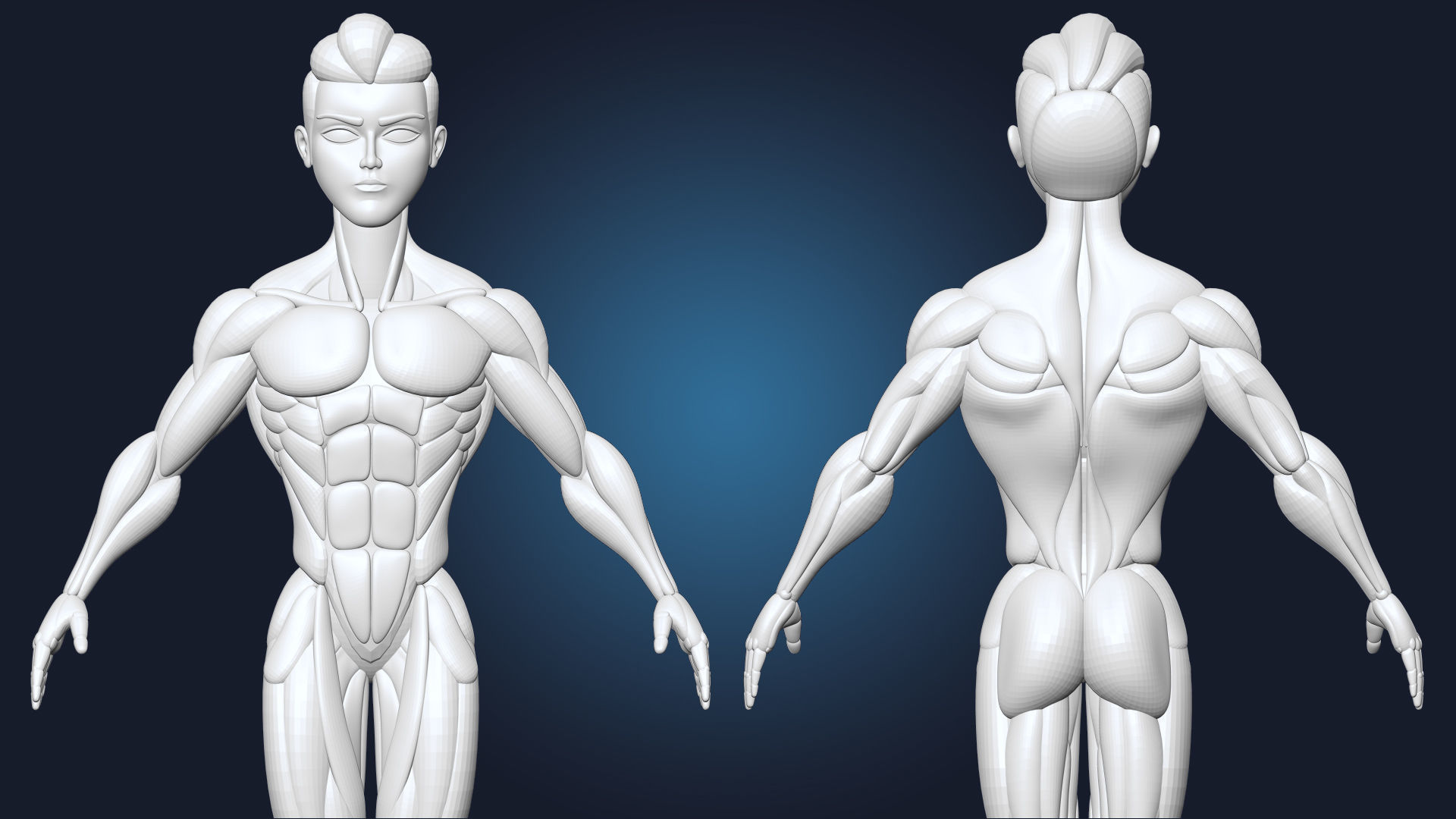 Stylized Male Basemesh Anatomy Blockout Vol 01 Free 3D model_4
