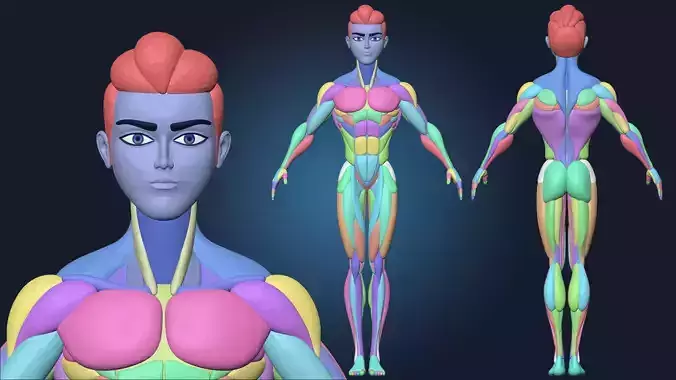 Stylized Male Basemesh Anatomy Blockout Vol 01 Free 3D model