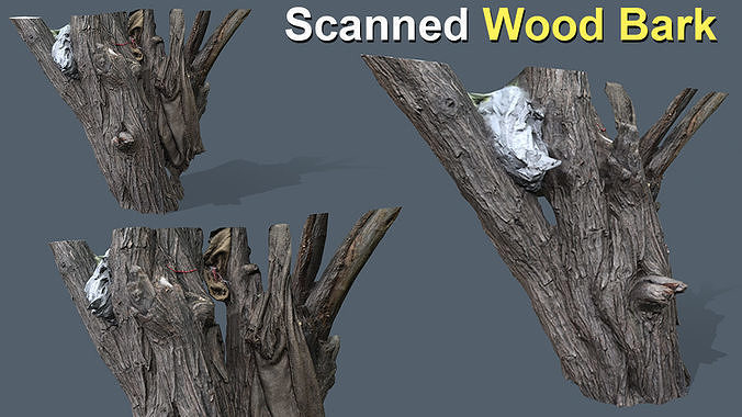 Wood Bark Low Poly Low-poly 3D model