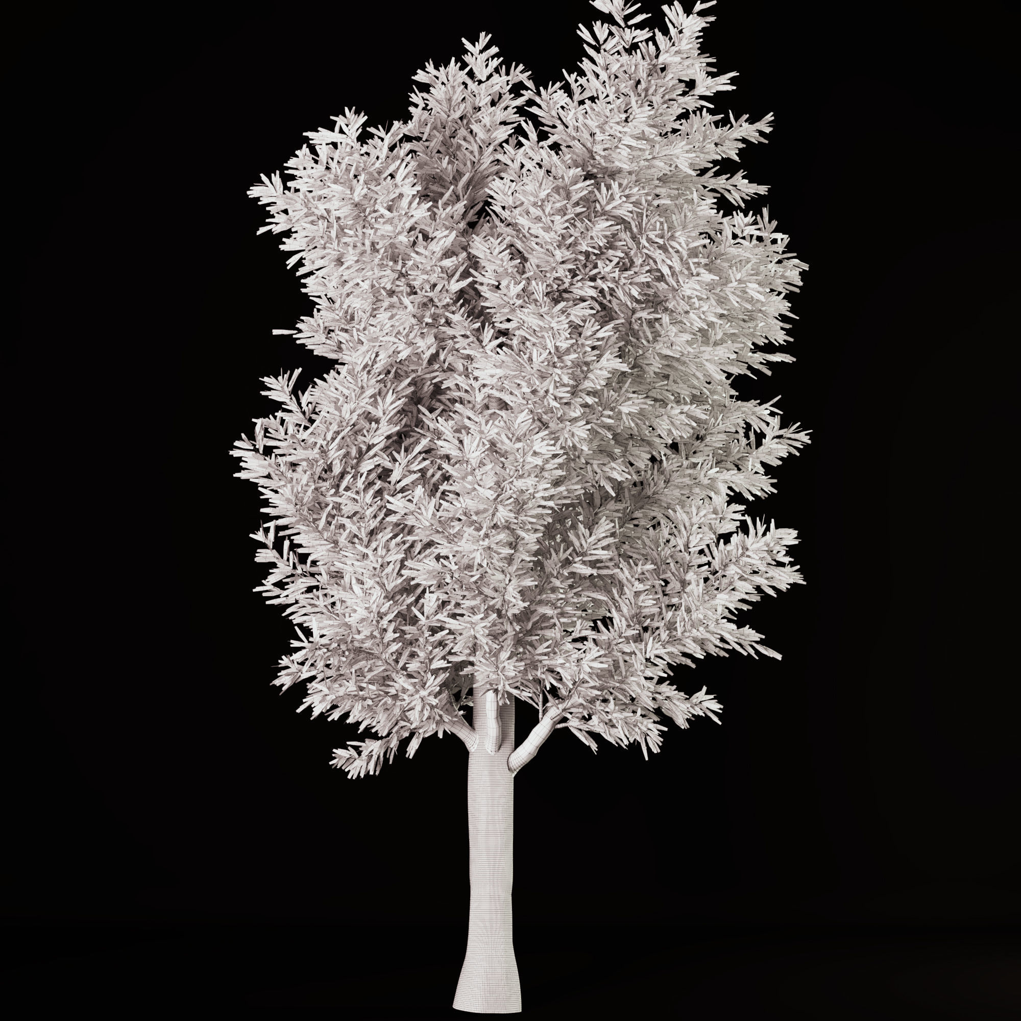 tree01 tree 3D model_1