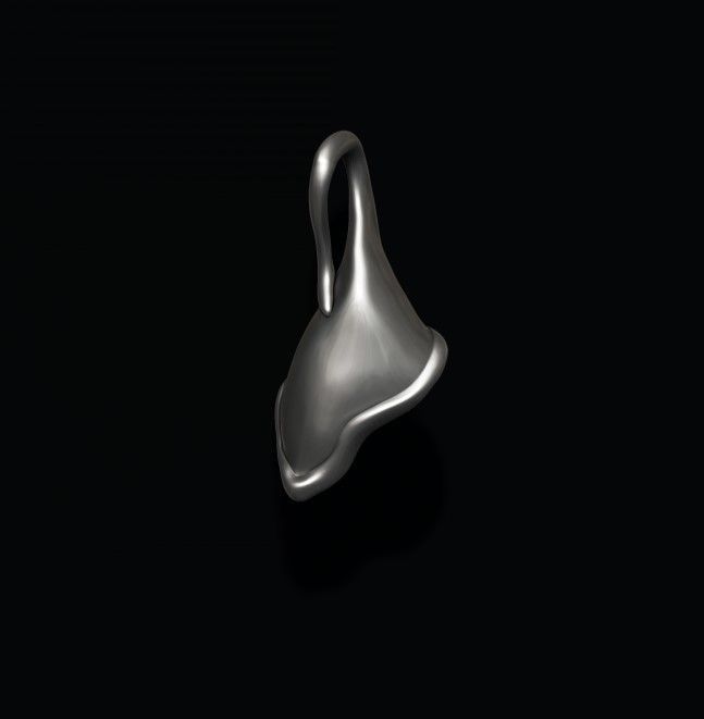 Calla Lily pendant 3D print model_3