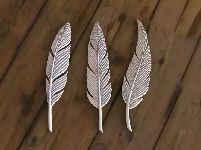 Feather Set three silver feathers 3D print model