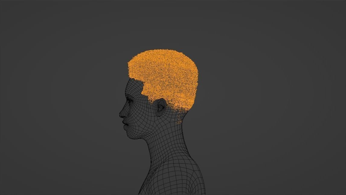 Flat Top Hair 3D model_16
