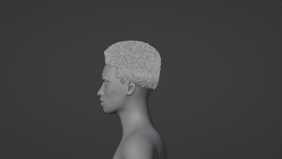 Flat Top Hair 3D model_14