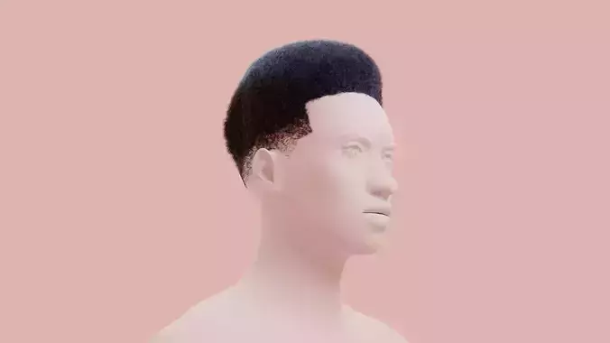 Flat Top Hair