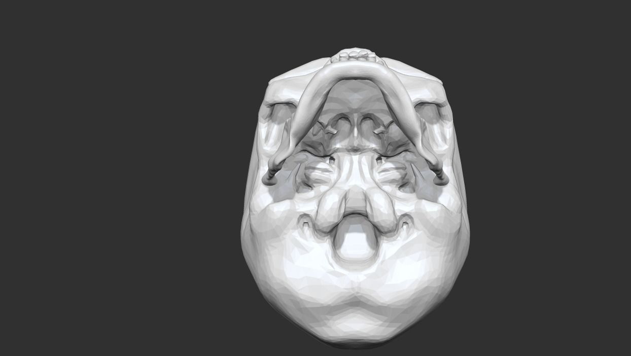 Skull for games Low-poly 3D model_3