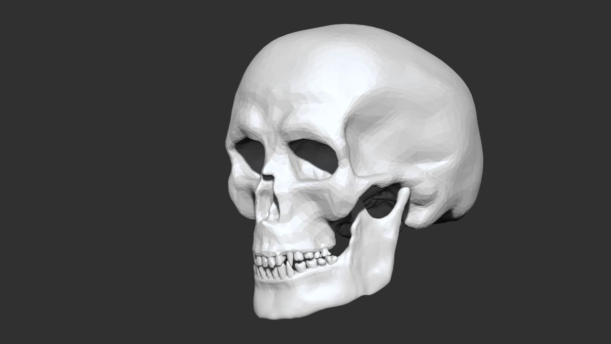 Skull for games Low-poly 3D model_1