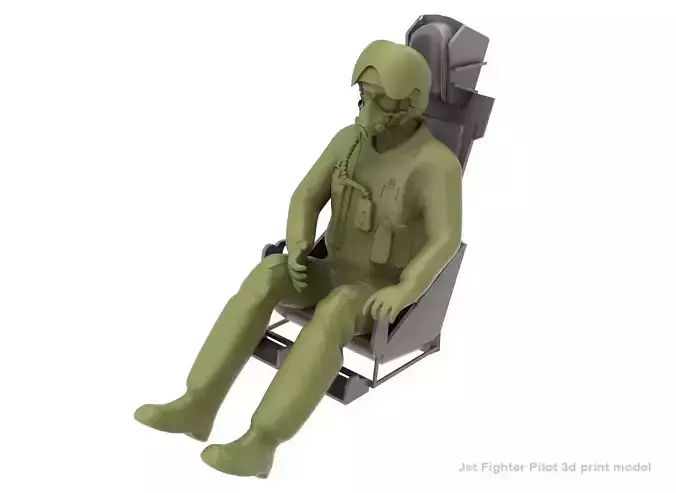 Jet Fighter Pilot  3D print model