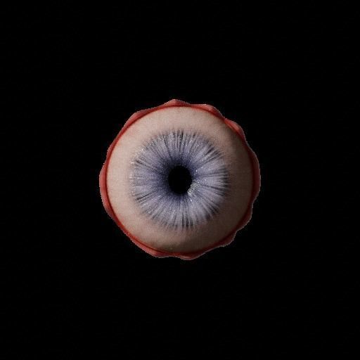 Realistic Procedural Eye 3D model_5