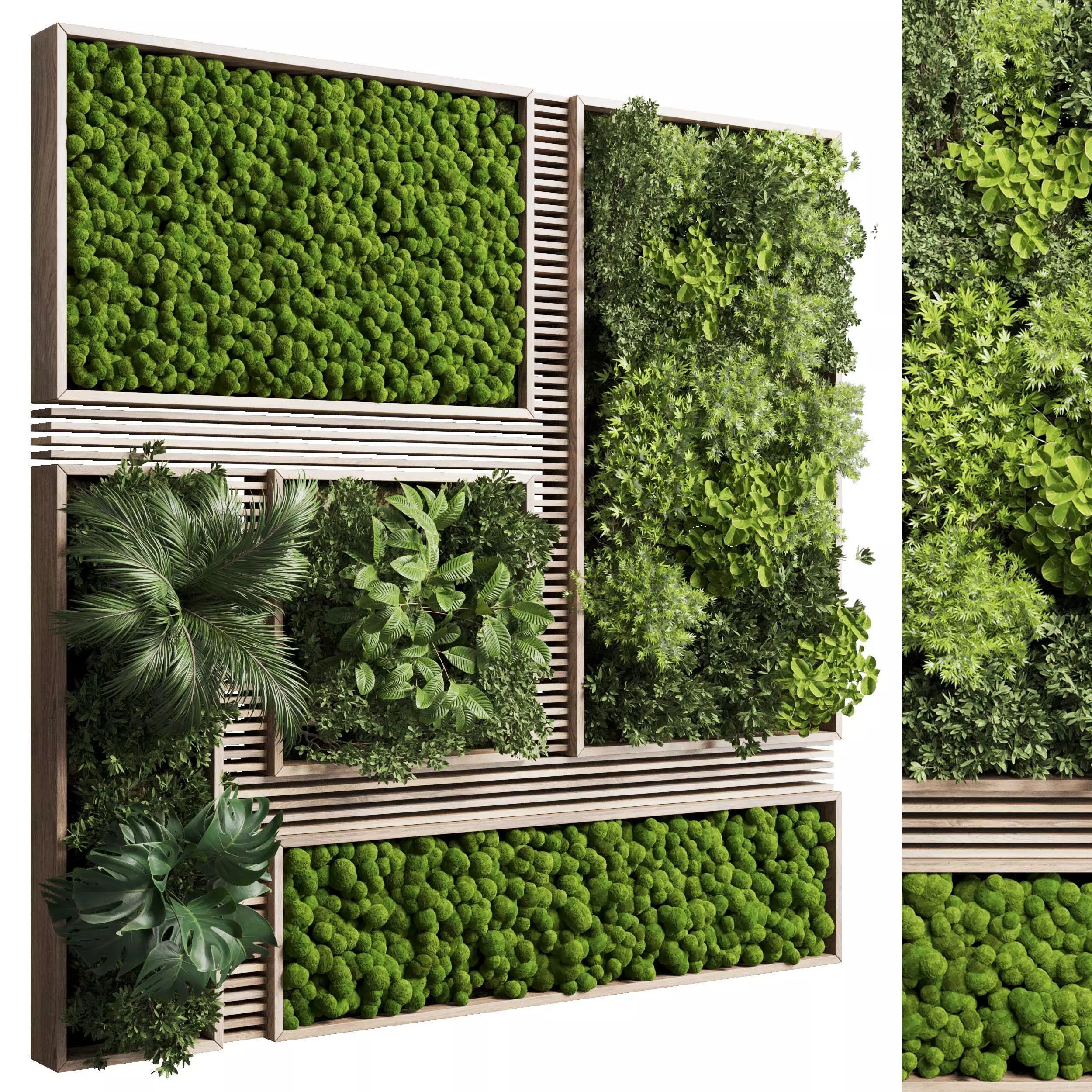 Vertical Wall Garden With Wooden frame 39 3D model_0