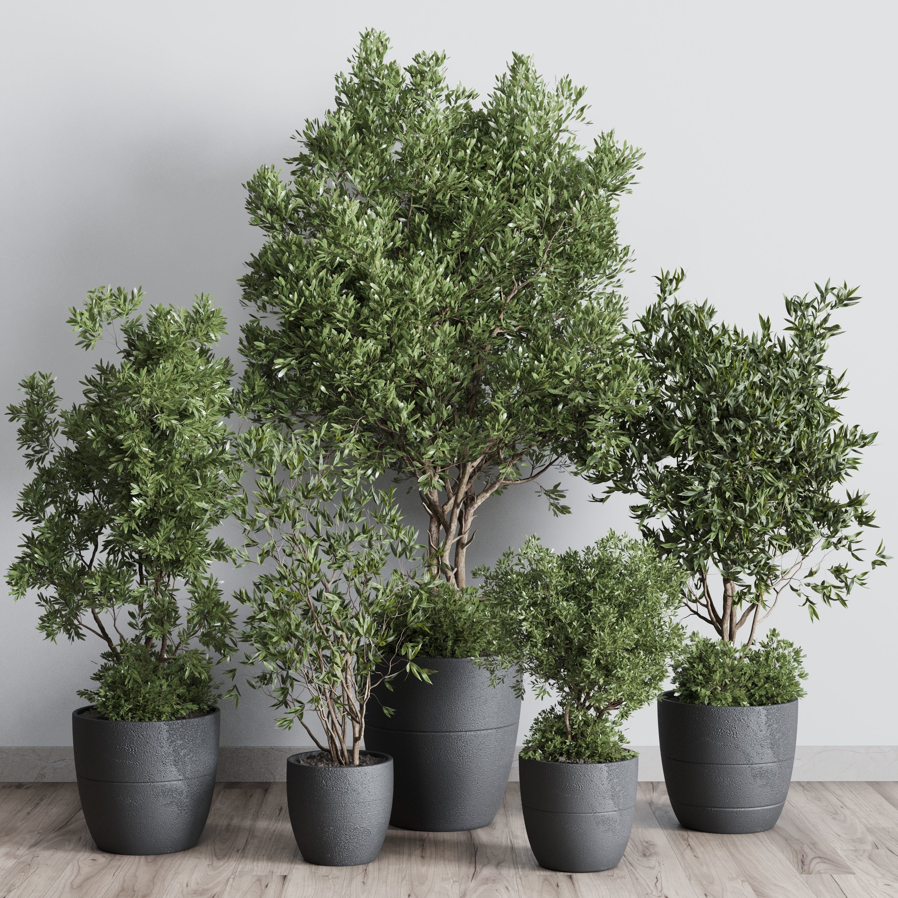 outdoor plant set 133 tree olive in a dirty concrete vase Low-poly 3D model_6