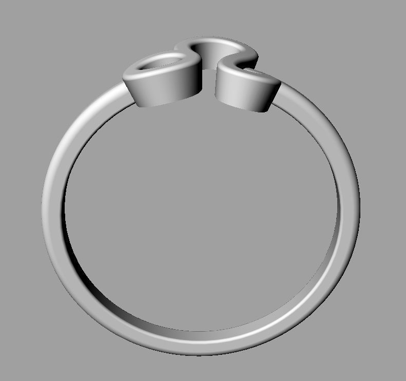 Zodiac Ring - Leo 3D print model_12