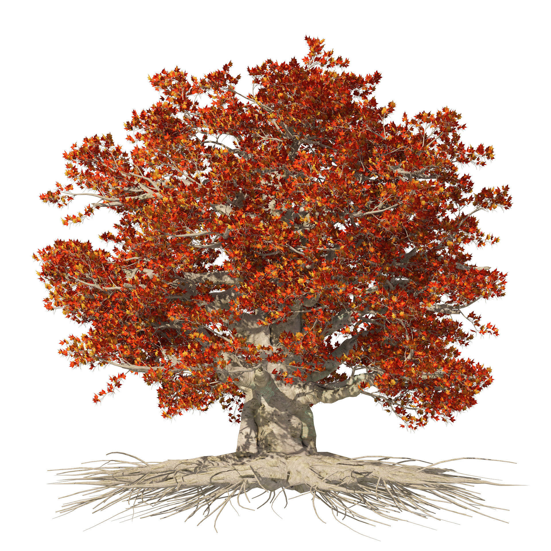 House of Dragons Winterfell Tree 3D model_5