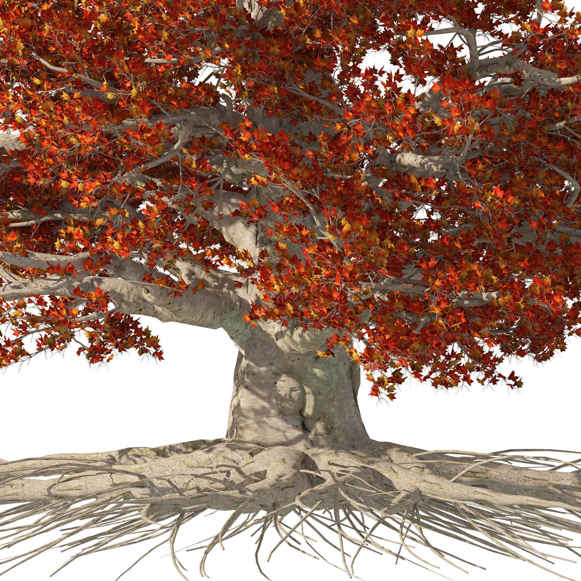 House of Dragons Winterfell Tree 3D model_2