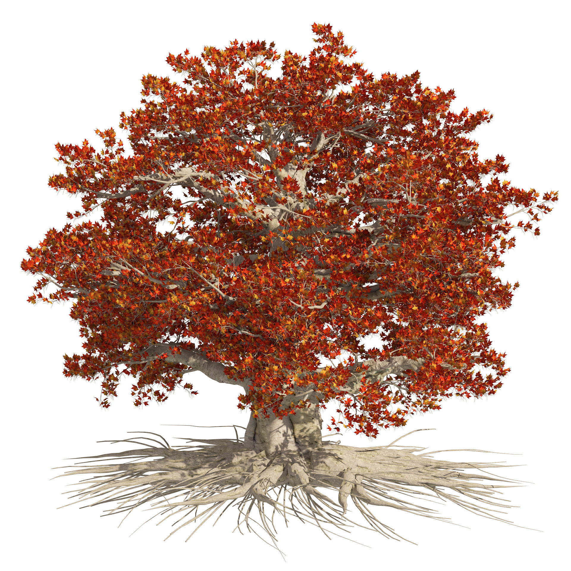 House of Dragons Winterfell Tree 3D model_3