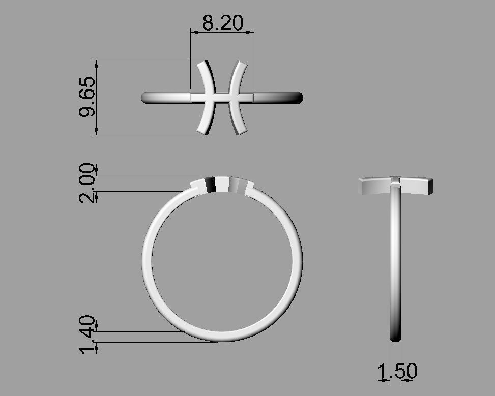 Zodiac Rings 3D Model Collection_27