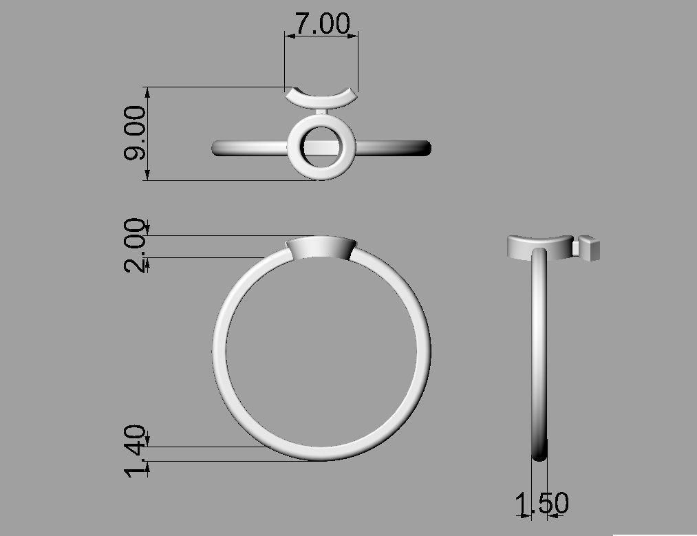 Zodiac Rings 3D Model Collection_23