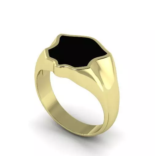 Ring Model 2216 3D print model_0