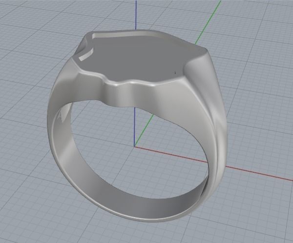 Ring Model 2216 3D print model_2