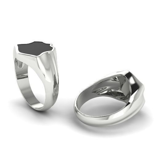 Ring Model 2216 3D print model_1