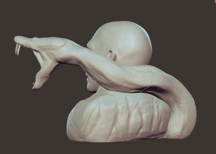 voldemort and nagini bust 3D print model_3