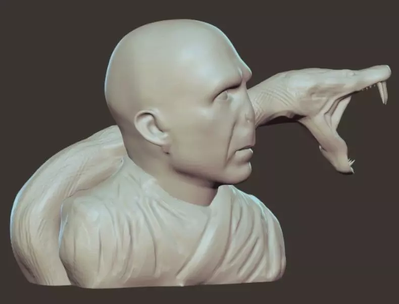 voldemort and nagini bust 3D print model_0