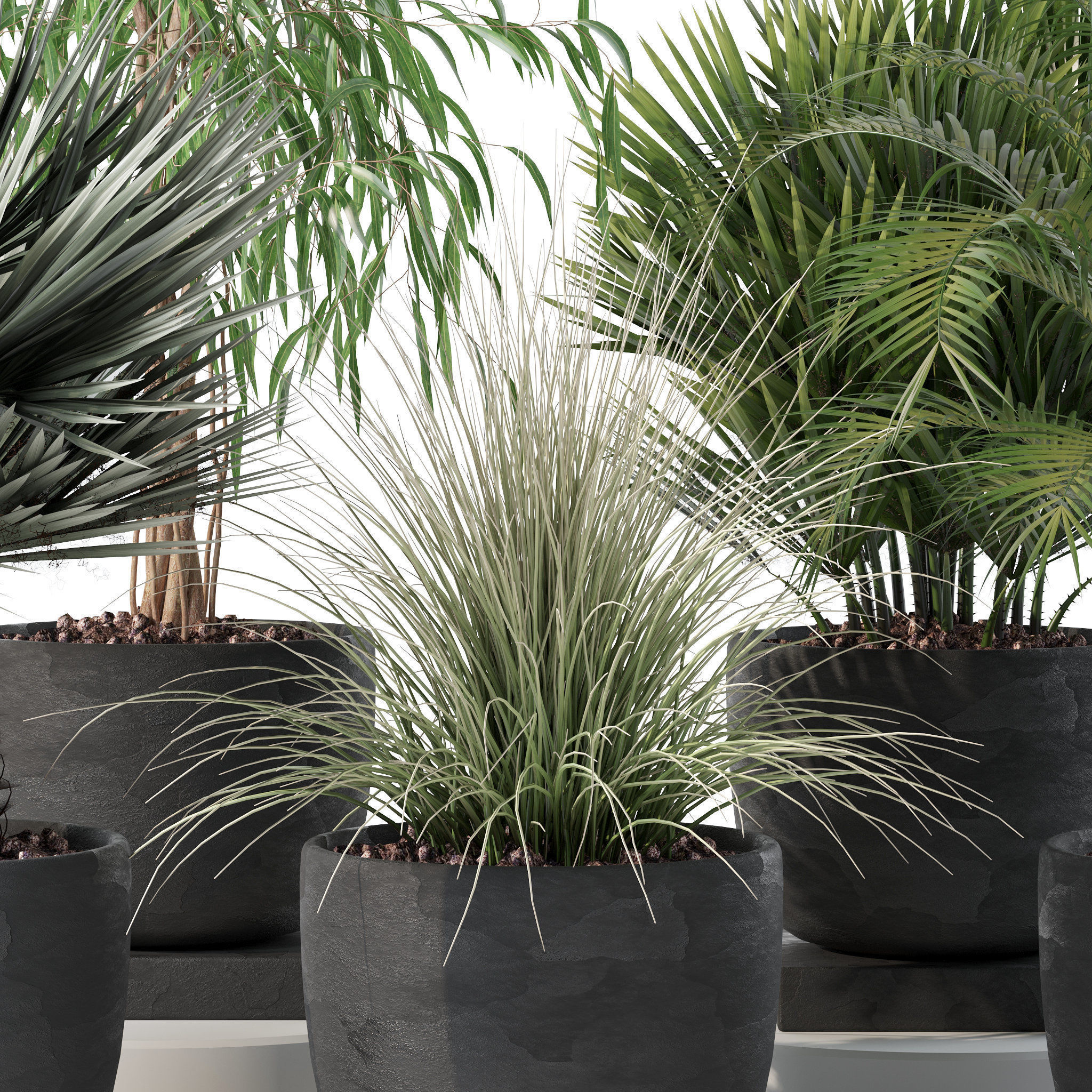 20 Photorealistic Flowers for Interiors - set 118 125 132 135 3D Model Collection_40