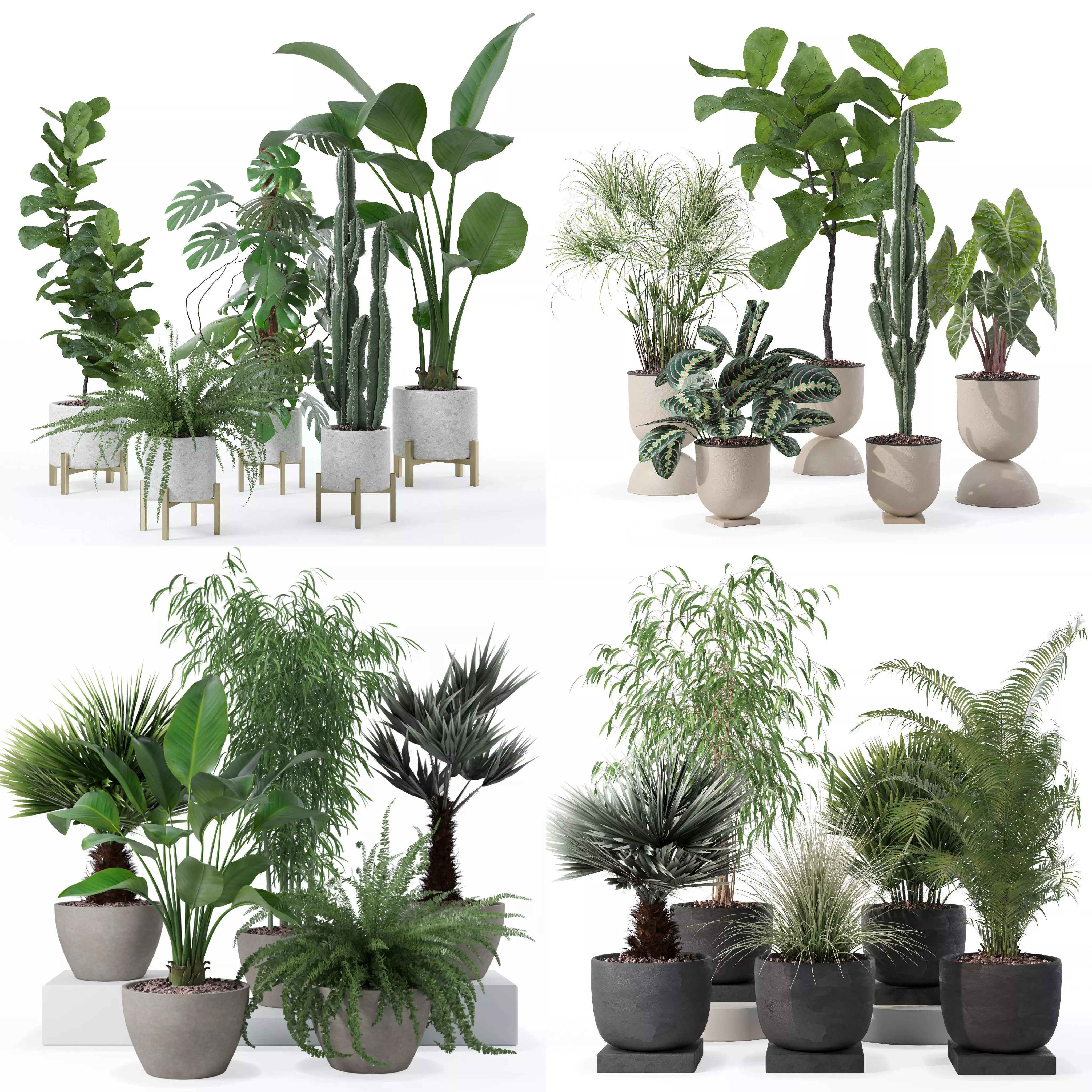 20 Photorealistic Flowers for Interiors - set 118 125 132 135 3D Model Collection_0