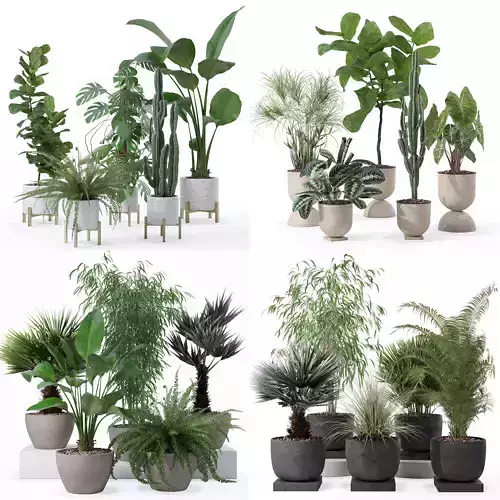 20 Photorealistic Flowers for Interiors - set 118 125 132 135 3D Model Collection