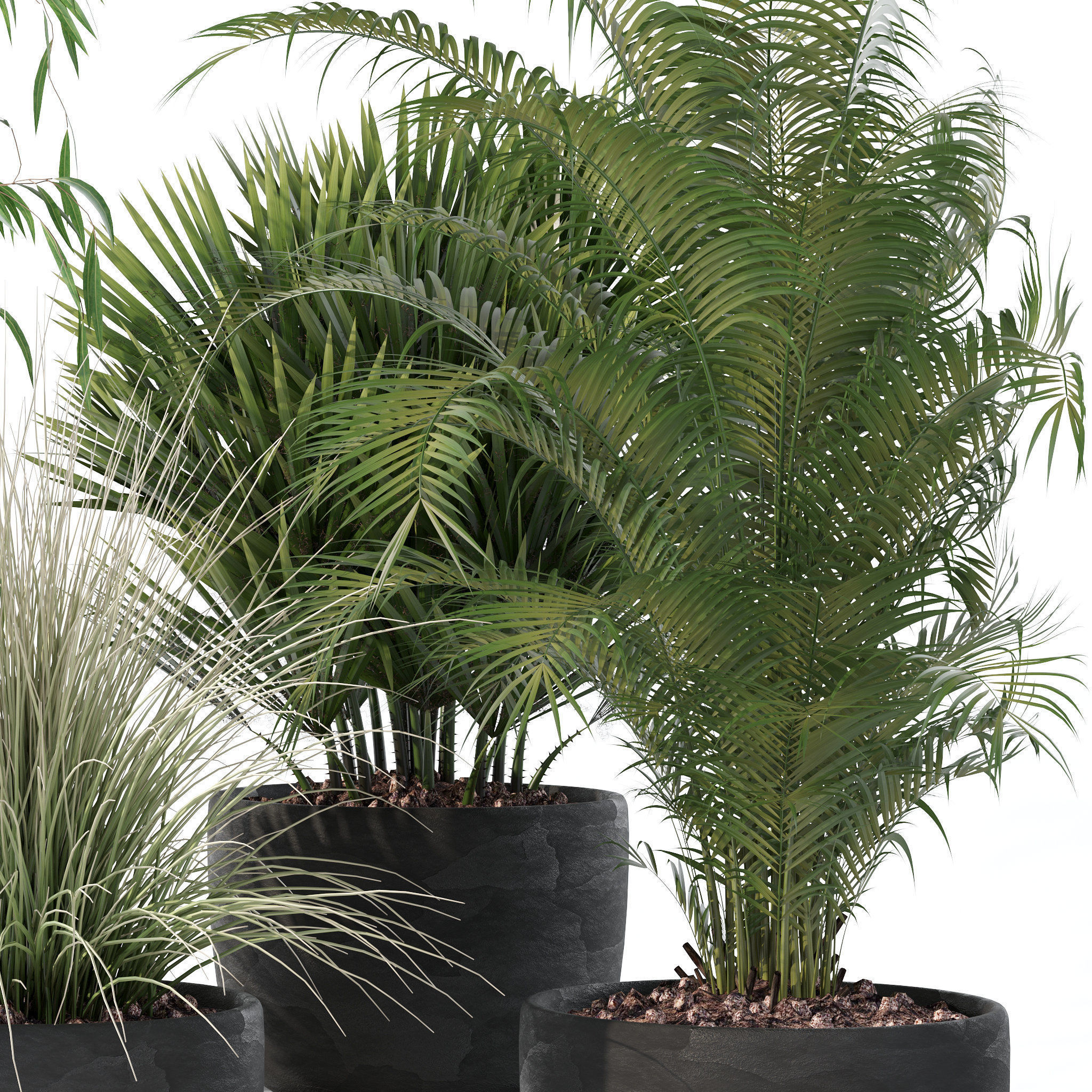 20 Photorealistic Flowers for Interiors - set 118 125 132 135 3D Model Collection_47