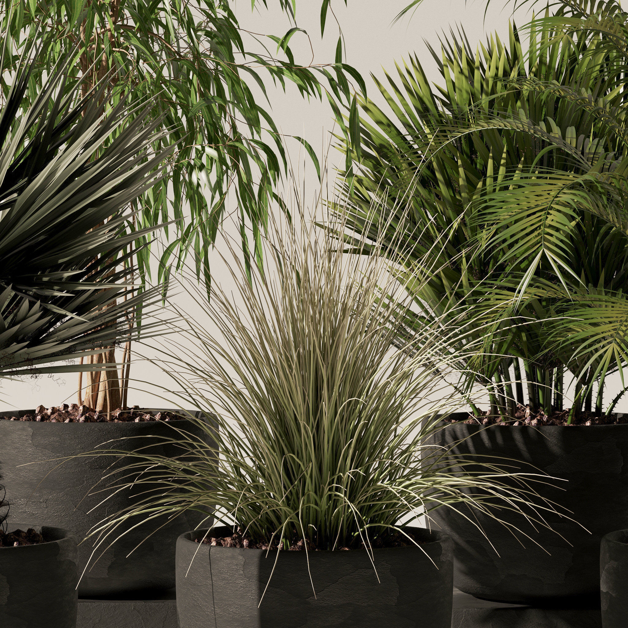 20 Photorealistic Flowers for Interiors - set 118 125 132 135 3D Model Collection_51