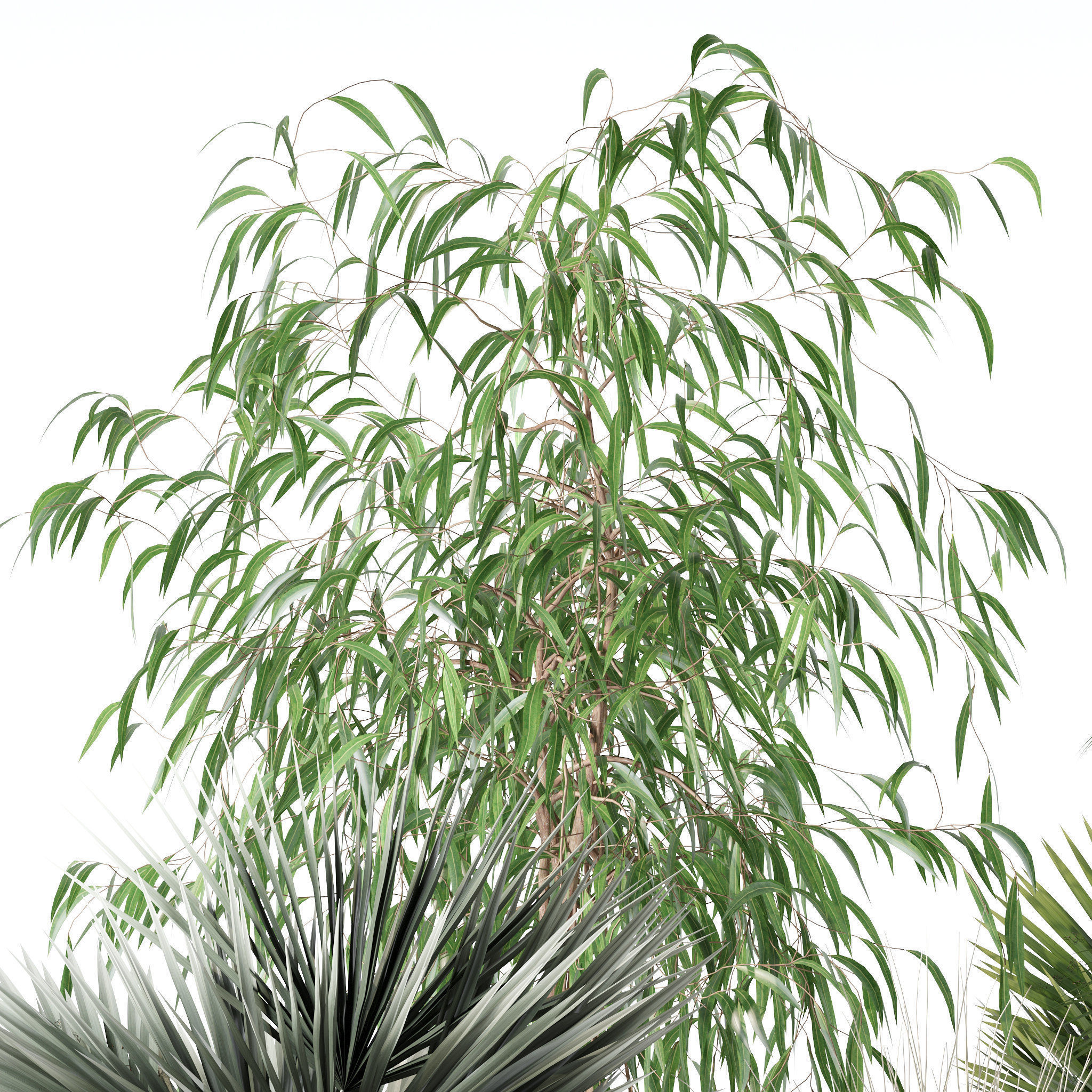 20 Photorealistic Flowers for Interiors - set 118 125 132 135 3D Model Collection_41